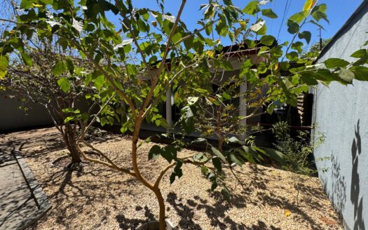 Casa com Escritório