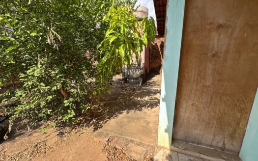 Casa com 3 Quartos 1206 Sul