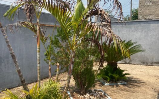 Casa 3 Quartos Financiável